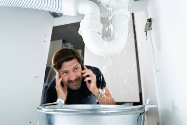 Best Plumbing Repair Near Me  in Forest Hills, MI
